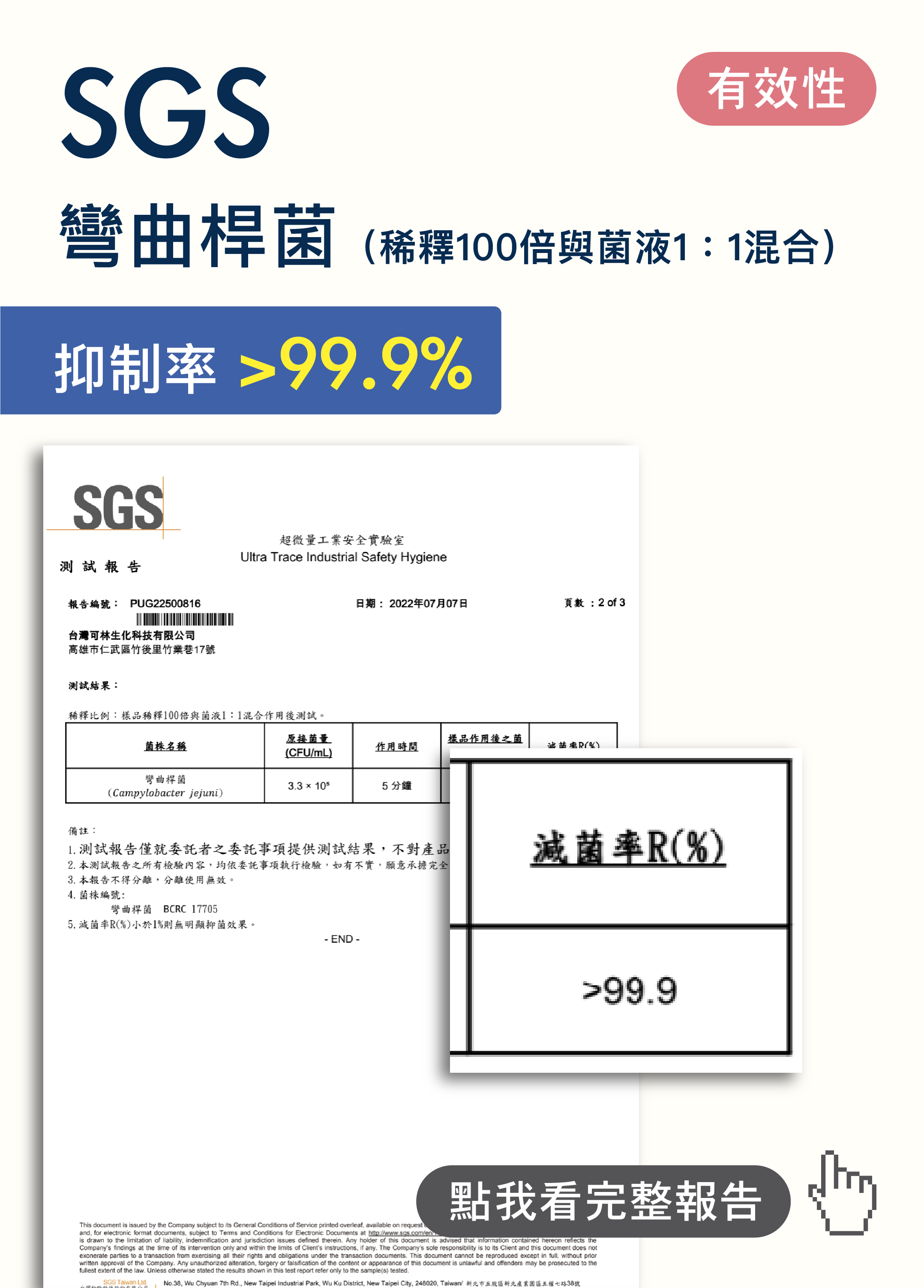 SGS彎曲桿菌-01
